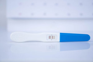 EARLY PREGNANCY A GOGO