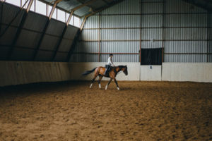 HOLD YOUR HORSES