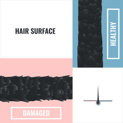 Olaplex Hair Products