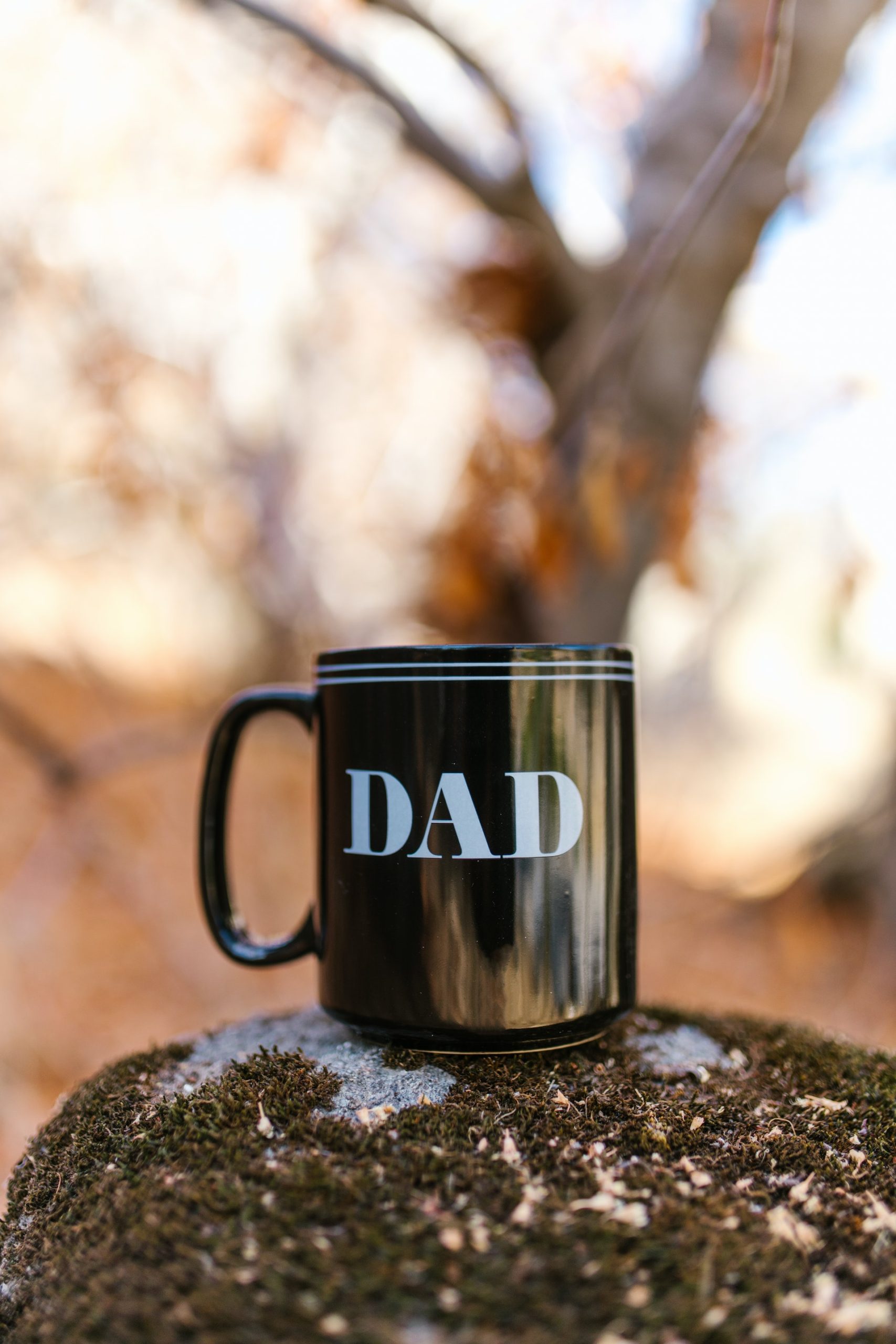 Father's Day Gift Guide 2023